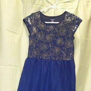 Blue Rose Dress